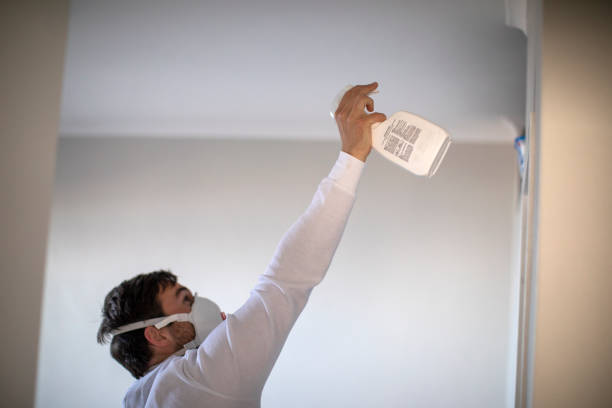 Best Local Mold Removal Service  in Laupahoehoe, HI