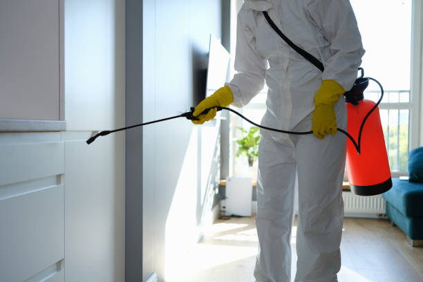 Best Mold Cleaning Services  in Laupahoehoe, HI