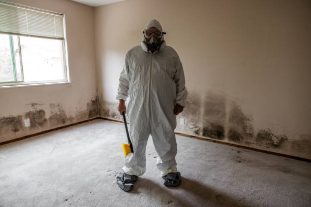 Best Residential Mold Removal  in Laupahoehoe, HI
